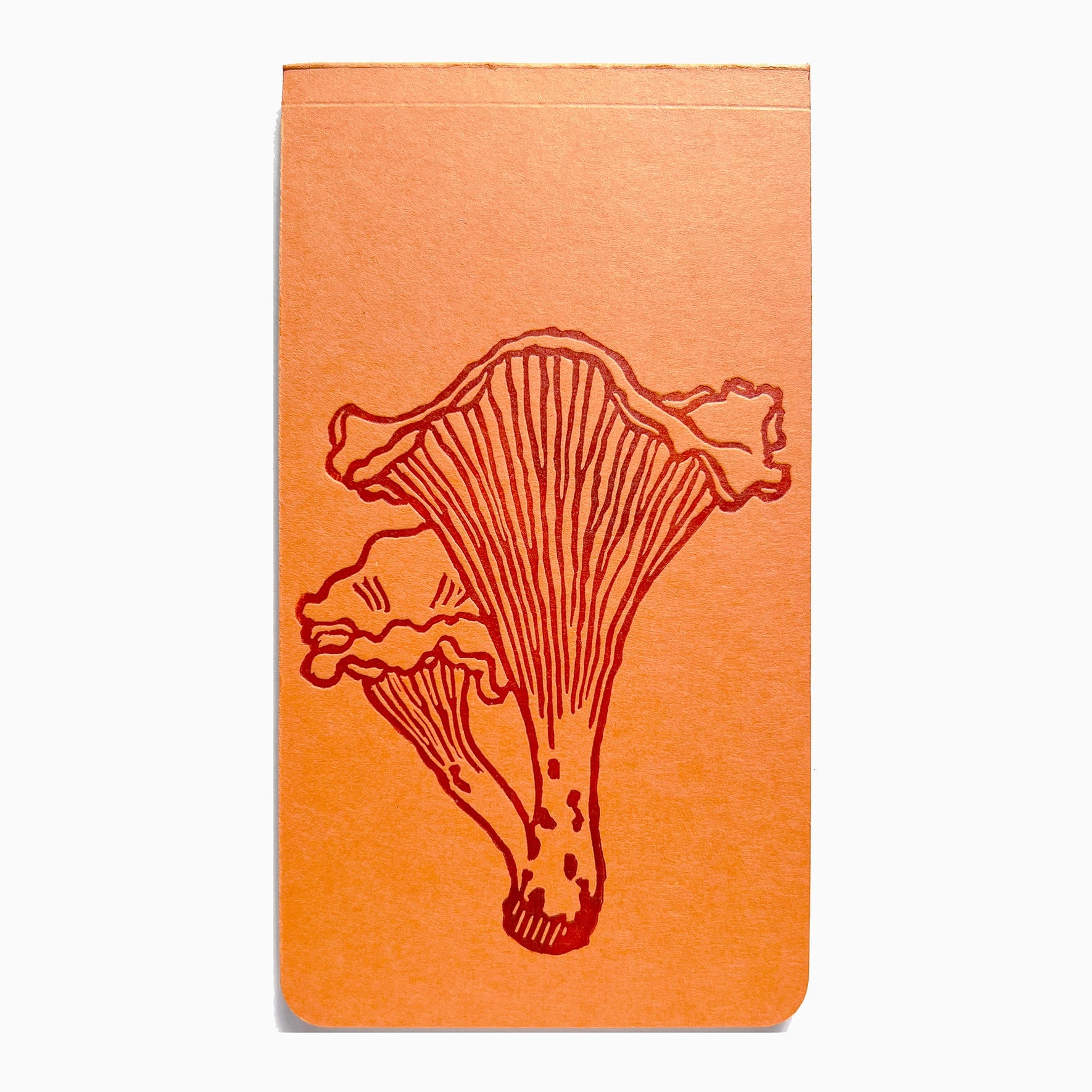 Chanterelle Mushroom Jotter