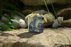 Eucalyptus and Spruce Bar