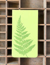 Bracken Fern Jotter