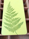 Bracken Fern Jotter