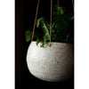 Hanging Ceramic Planter