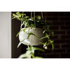 Hanging Ceramic Planter