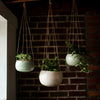 Hanging Ceramic Planter