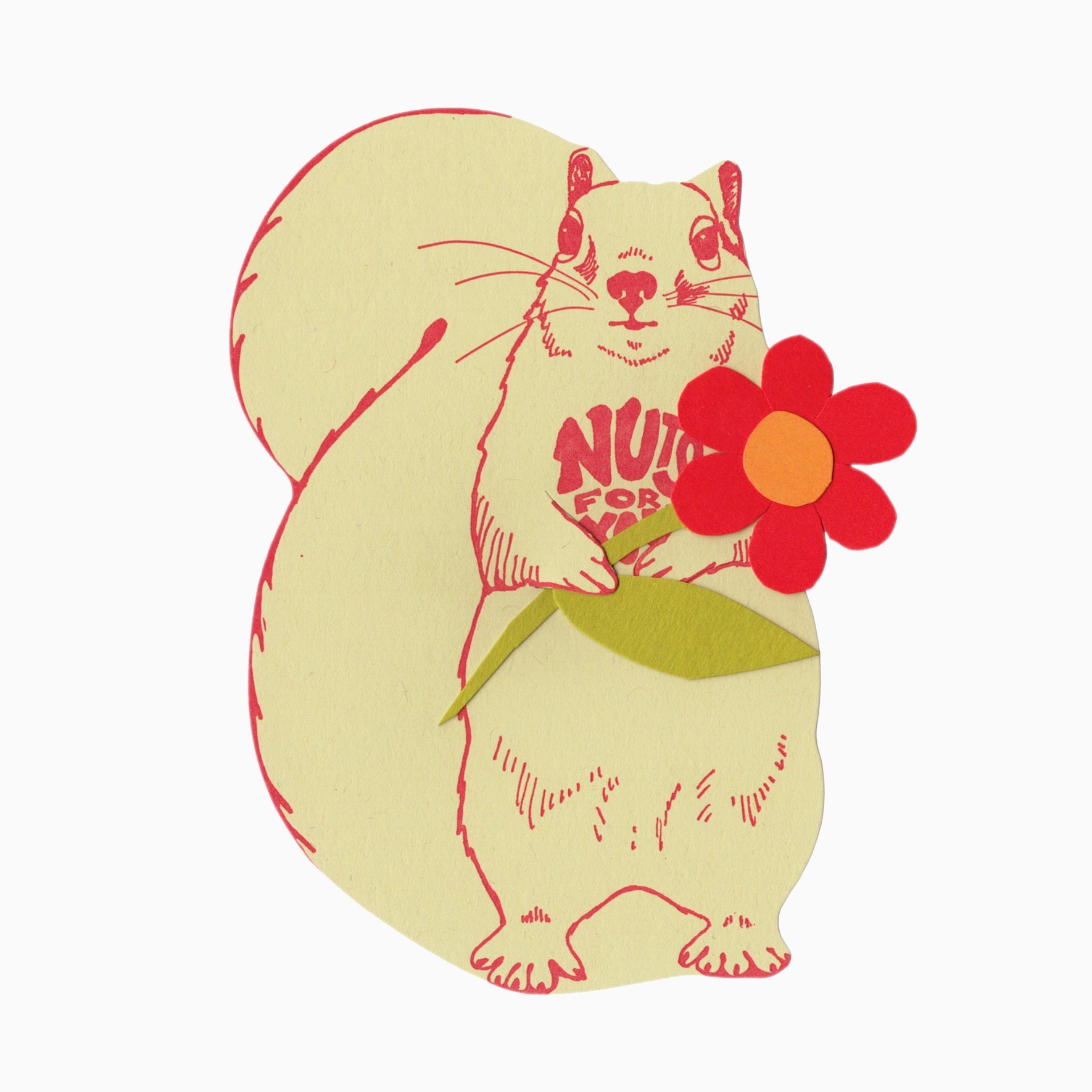 White Squirrel Gift Card