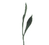 endless flower - leaf pair