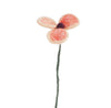 endless flower - poppy peach