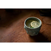 Bumpy cup - Lichen