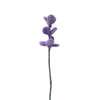 endless flower - lavender