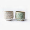 Wine cup - Lichen