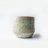 Wine cup - Lichen