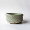 Round Dinner Bowl - Lichen