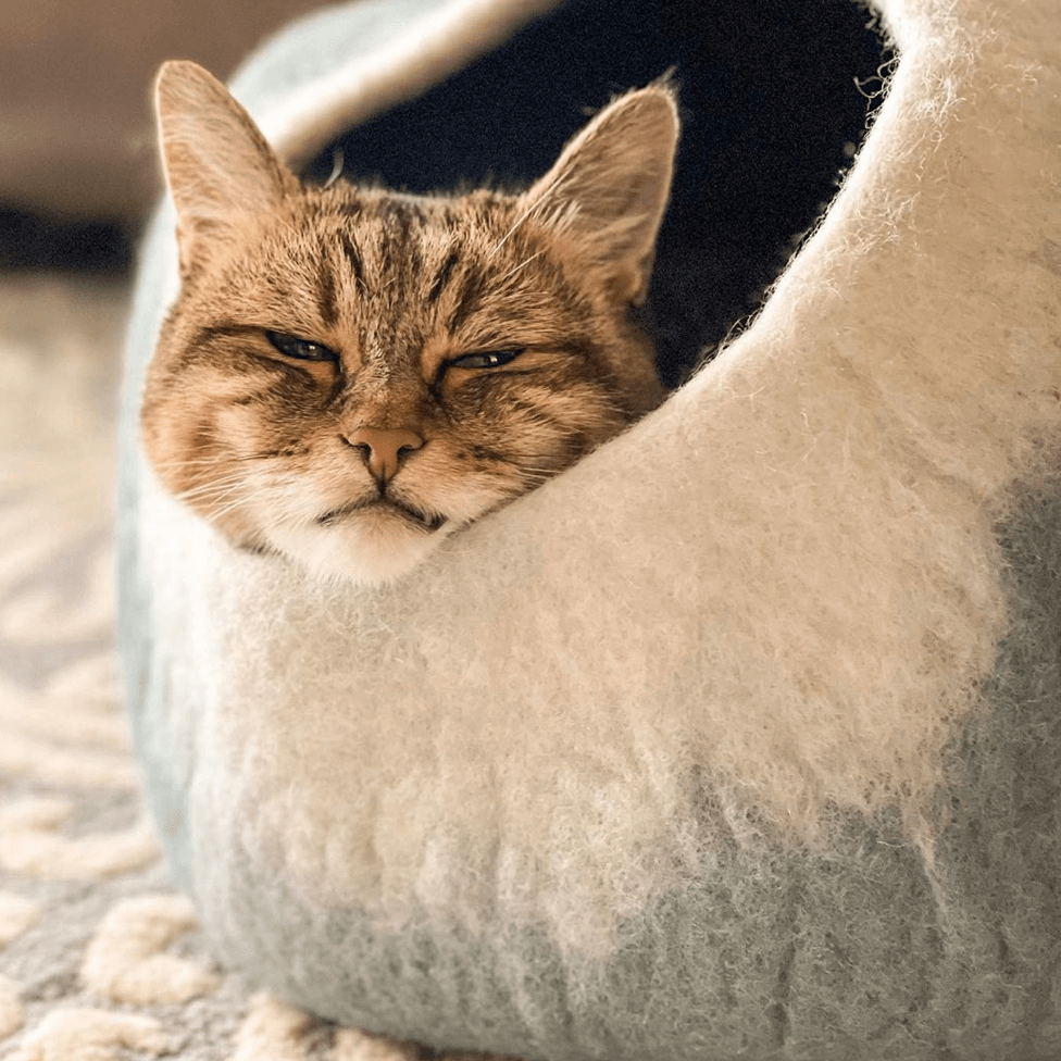 Cat bed top cave cocoon