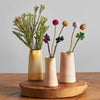 endless flower - golden thistle